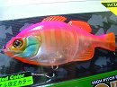 Pink back ghost gill