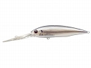 Striped shad (#274)