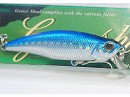 Blue back (Floating)