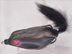 Common rat (2016 member limited model)