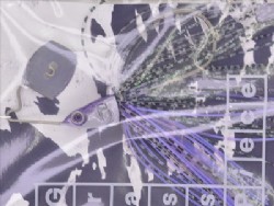 Violet gill (#G02)