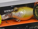 Hakusei glitter carp