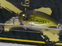 GG bass