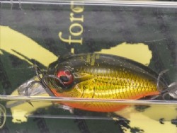 GG Megabass kinkuro