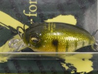 GLX galaxy gill