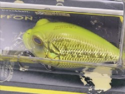 GG chart back bass