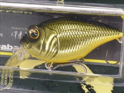 M champagne kinkuro 2