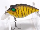 Osaka tiger yellow