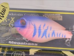 Peach tiger (Limited color)