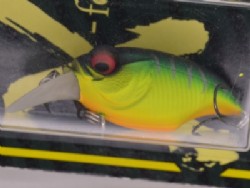 Mat tiger