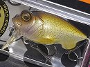 Hakusei glitter carp