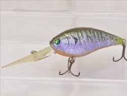 Tales of gill