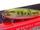 Baby bass