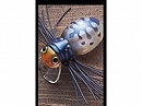 Blue spider