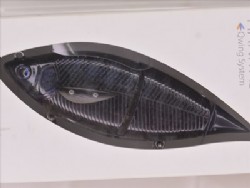Real clear gill