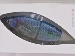 Real clear tanago