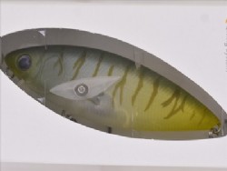 Numa tiger
