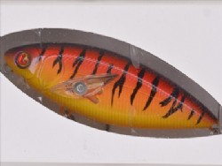 Orange craw