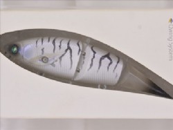 Byakko