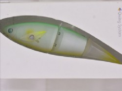 Emerald shiner