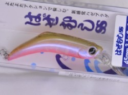 Aoisome