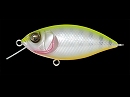 PM Striped hot shad