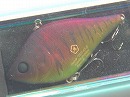 American craw