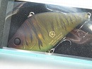 Uchida craw