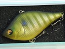 Blue gill