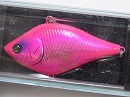 Pink shad