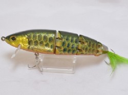 Green arowana