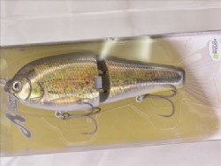 Hologram nama gold bass
