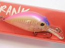 GB Pink back OB -GB (Glow Bone) model