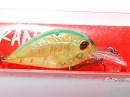 SB Watermelon