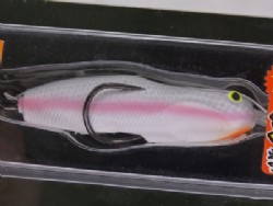 Silver pearl shad