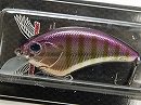 Purple gill