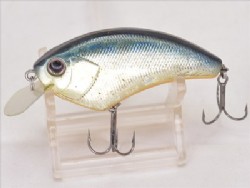 American sunfish