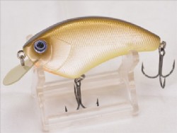 Golden shiner