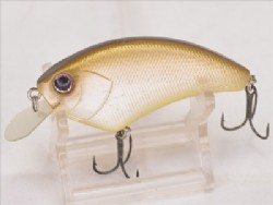 Golden shiner