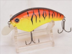 Hot chili tiger