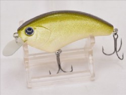 Olive dazzler