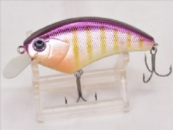 Purple gill