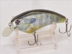 Real gill