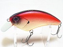 Red shad