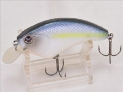 Sexy shad