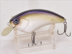 Tennessee shad
