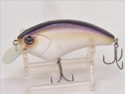 Tennessee shad