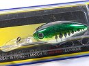 Green bass (#04)