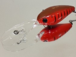 Crawdad (#07)