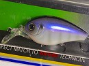 Blue no gill (#34)